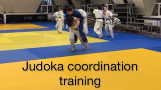 Judoca coordination training