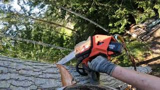 Milwaukee M18 2826 taking a huge fir top