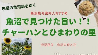 魚沼で見つけた旨い😋チャーハンとひまわりの畑🌻　魚沼市七日町　中華料理笑店と魚沼の里