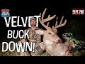 VELVET OPENING Week Buck | Doves and Bucks | Realtree Road Trips