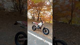 近所のワインディングロード夕方40分ツーリング😎紅葉綺麗😎DT200R😎スーパーバイカーズ(モタード)😎昭和のバイク😎2ストチャンバー、直キャブサウンド😎2023,11,05,