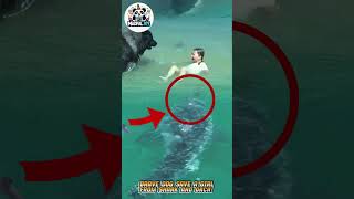 Brave Dog Heroically Rescues Girl from Shark and Orca Attack #amazing #movie