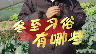 冬至有哪些习俗呢？冬至 全国各地冬至吃什么 冬至吃饺子 冬至你吃饺子还是汤圆 冬至大如年