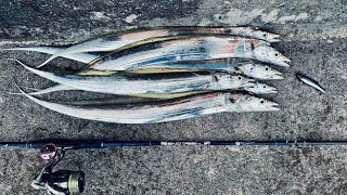 タチウオ (Ribbonfish / Hairtail Fish) ~ Okinawa Shore Fishing ~      #fishing #Okinawa