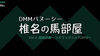 【椎チャンネル】椎名の馬部屋_馬体診断_ヴォリーダ(コズミックショア2018)