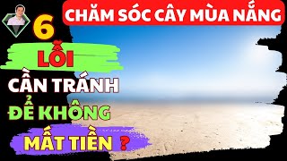 6 Lỗi, Sai Lầm Chăm Sóc Cây Mùa Nắng Khiến Bạn Mất Tiền Khi Canh Tác Cây Trồng | Lương Hồng Sơn
