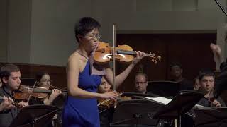 Between Two Chasms - Concerto for Violin and Sinfonietta