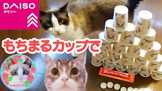 ダイソーもちまる紙コップの中のちゅーるを探すゲームを楽しんだ猫