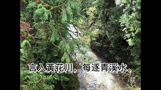 粵語朗讀唐詩三百首，王維《清溪》