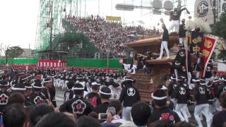 2011 岸和田だんじり祭り 曳き出し