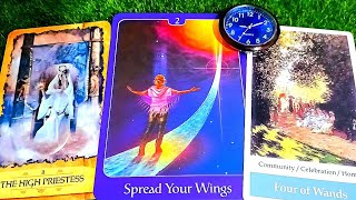 PHƯỢNG HOÀNG Tìm Thấy HÀO QUANG RỰC RỠ / Tarot Reading