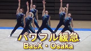 全日本男子新体操社会人選手権団体5位はBacX Osaka・ bakuten新体操クラブ