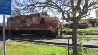 Skunk Train---Warming Up