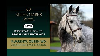 Alpha Mares Auction - Elite Broodmares - Lot 3