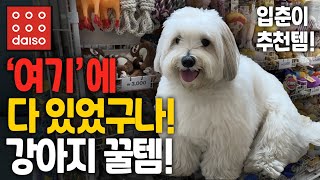 다이소 강아지 용품 이건 꼭 사오세요