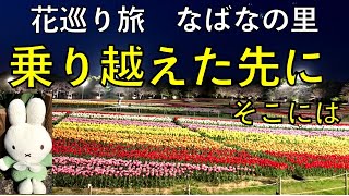 乗り越えた先にそこには【なばなの里・花巡り旅】