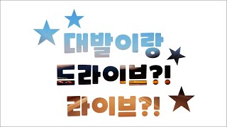 대발이랑 드라이브?! 라이브?! 야간 주행중~/초보운전 드라이브 #1