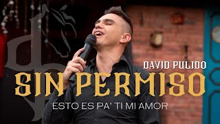 Sin Permiso - David Pulido (Video Oficial)