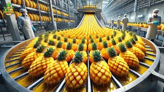 How Canned Pineapples Are Made in a Factory | Pineapple Canning Process