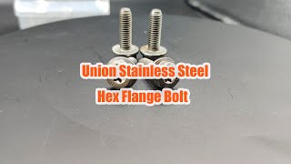 Union Stainless Steel Hex Flange Bolt