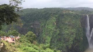 Jog falls @830 feet  near Shimoga in Karnataka (RRRR)