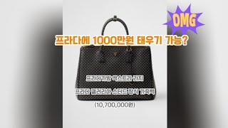 😖1000만원 프라다백 가능? 근데 예뻐~~❤️