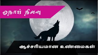 wolf moon | ஓநாய் நிலவு என்றால் என்ன