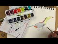 tips for drawing u0026 painting a toucan with ink u0026 watercolor