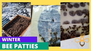 Beekeeping 🐝  Late Winter Patties For Bees 🐝  The Best Recipe + Nosema 🐝