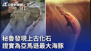 秘魯發現上古化石 證實為亞馬遜最大海豚｜20240321 公視新聞全球話