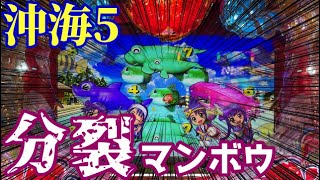 わかる人には地味に激アツ‼️変則始動からの「分裂マンボウ」出現⭐️『Pスーパー海物語 IN 沖縄5』ぱちぱちTV【506】沖海5第30話