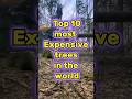 Top 10 Most Expensive Trees🌳 in the world🌏 #shorts #youtubeshorts #short #viral