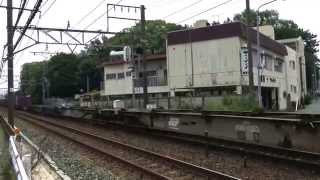 【東海道本線貨物列車/二川〜豊橋】1097レ EF66-105牽引