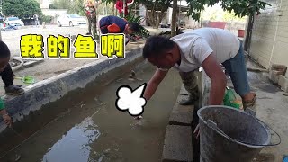 Many of the fish in the pool died, so my second brother hurriedly put out the water, what a pity!