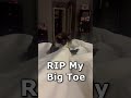 roxie destroying my big toe