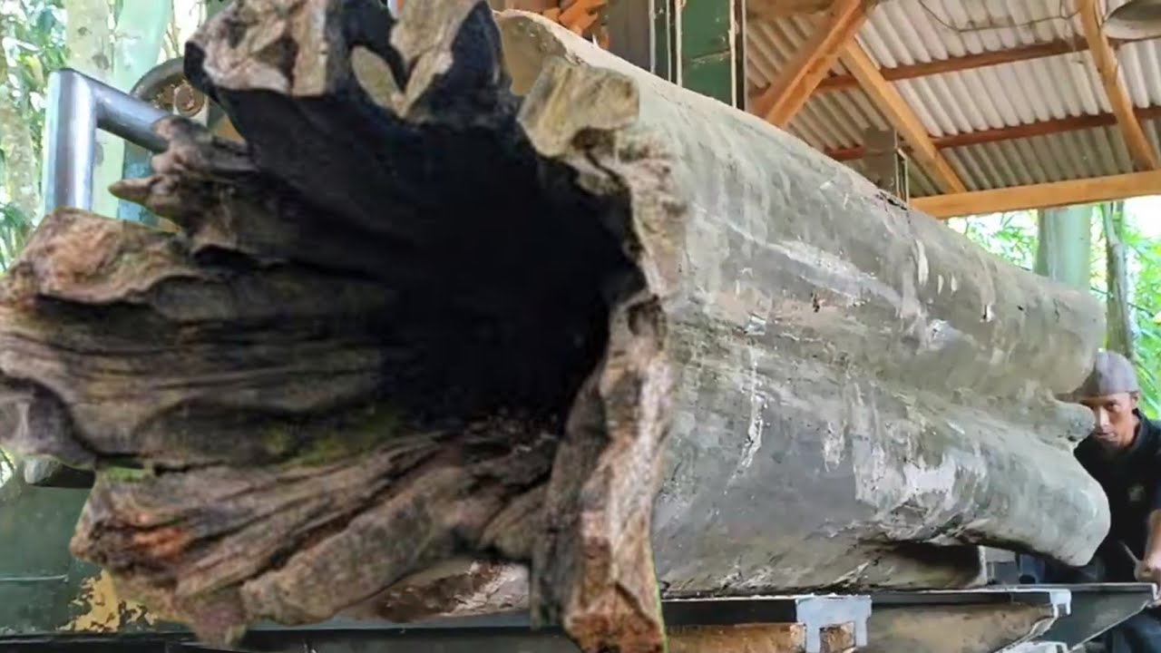 Researchers Find Ancient Wood Of Egyptian History Sawmills Youtube