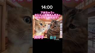 伝説的記録更新した女の子の話#shorts #猫ミーム