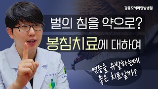 벌침? 봉침치료 효능에 대해 알려드립니다!