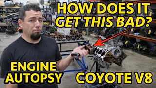 11-14 Ford F150 5.0L Coyote Teardown: Shop Says "Its bad", They Weren't Kidding!
