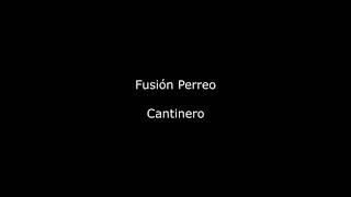 cantinero fusión perreo   -   letra completa