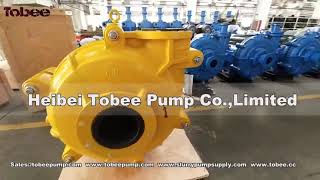 Tobee 8x6E AHR Slurry pump delivery to Europe