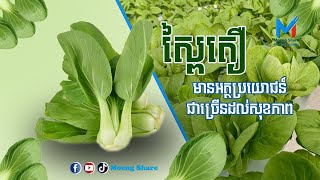 មានឈ្មោះថា  ស្ពៃតឿ ក៏ពិតមែន តែមានអត្ថប្រយោជន៍ជាច្រើនដល់សុខភាព