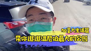 温尼伯的冬天终于快过完了，带你们逛逛加拿大温尼伯Assiniboine公园