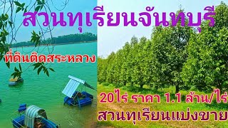 EP375.สวนทุเรียนจันทบุรีแบ่งขาย 20 ไร่ ที่ดินติดสระหลวง ต.นายายอาม สนใจติดต่อ0981473498,0887902134