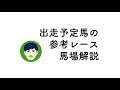 【2019皐月賞】持ち時計とポジショニングが重要！？（トラックバイアス）