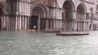 Venice tourists up to waists in water