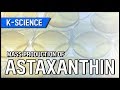 [K-SCIENCE] Mass Production of Astaxanthin / YTN KOREAN