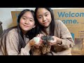 baby chicks part 2 we raised a wry neck baby chick janet and kate