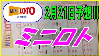 ミニロト】2023年2月21日予想‼　※3口予想！！