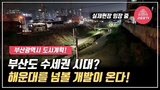 저평가된 부산 지역 공략! 수세권에 주목해야 하는 이유